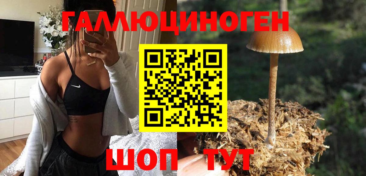 Валуйки  Галлюциногенные грибы Psilocybe  Вход с VPN 