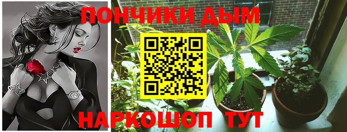 Конопля семена  Канабис OG Kush  Валуйки  МАРИХУАНА тримм  Вход с VPN 
